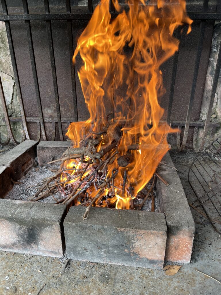 Flammes oranges s'élevant d'un feu de sarments de vigne dans un foyer en pierre