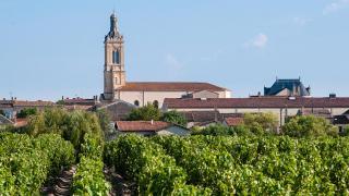 Château Bernard Magrez