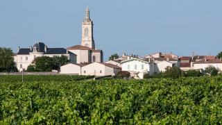 Château Fleuron de Liot