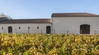 Château Graves de Pez
