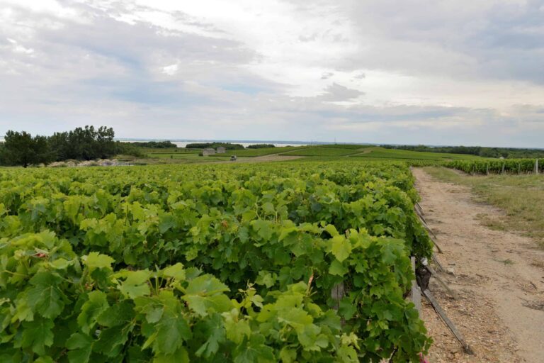 Château Passion du Trale
