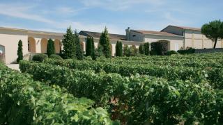 Château Tour des Termes