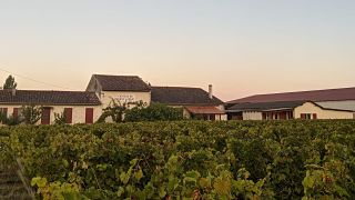 Château Vieux Landat