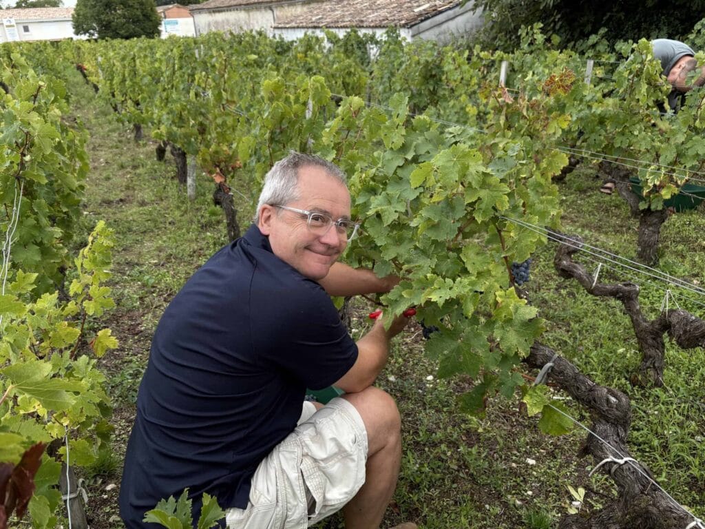 Marc accroupi dans les vignes avec un sécateur rouge, récoltant les grappes de raisins