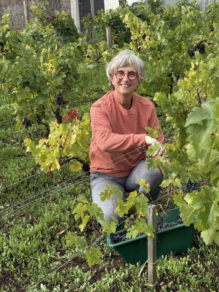 Réjane assise souriante dans les vignes entourée de paniers remplis de raisins récoltés