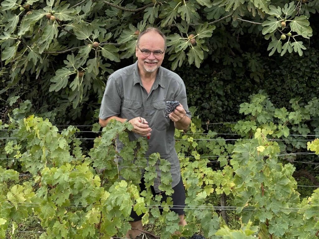 Jacques souriant dans le vignoble du Château Papounan, tenant une grappe de raisins noirs et un sécateur