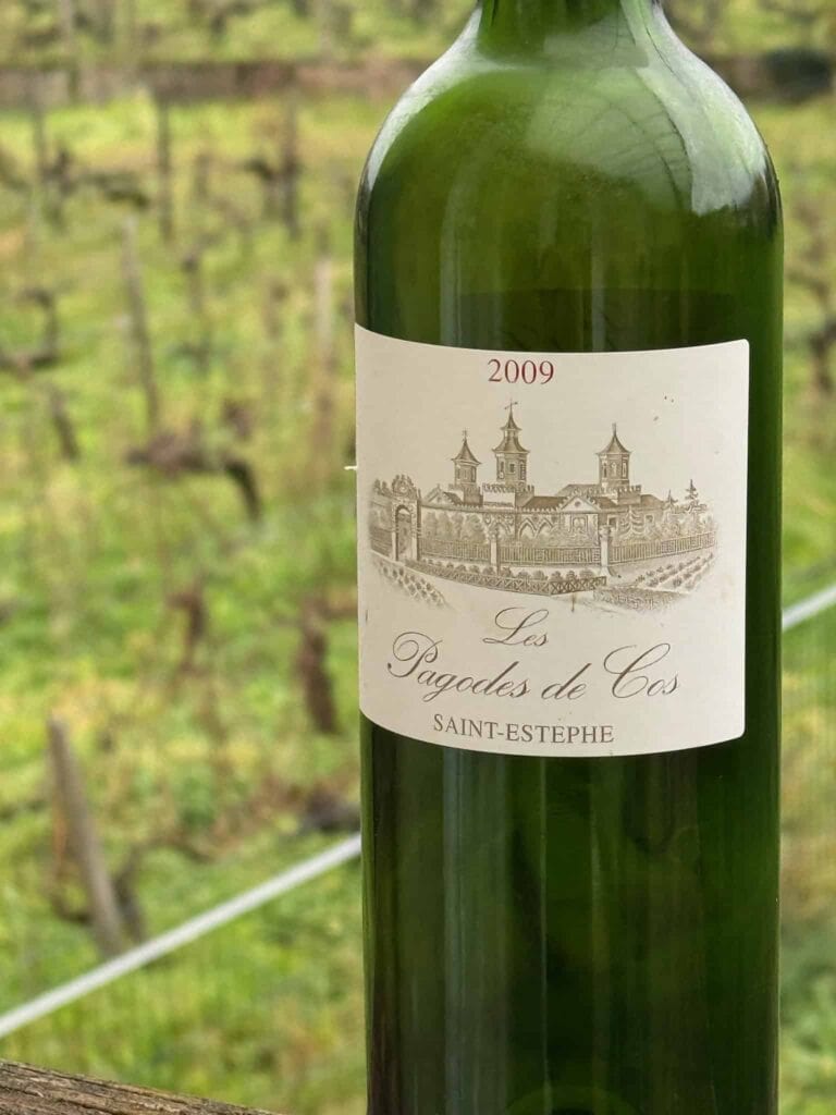 Bouteille de vin Les Pagodes de Cos Saint-Estèphe 2009 avec le vignoble du Château Papounan en arrière-plan