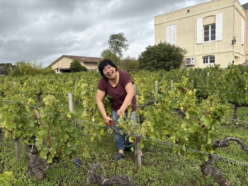 Sylvaine souriante récoltant les raisins dans le vignoble avec le Château Papounan en arrière-plan